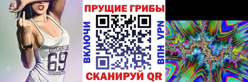 Галлюциногенные грибы Magic Shrooms  darknet какой сайт  Егорьевск 